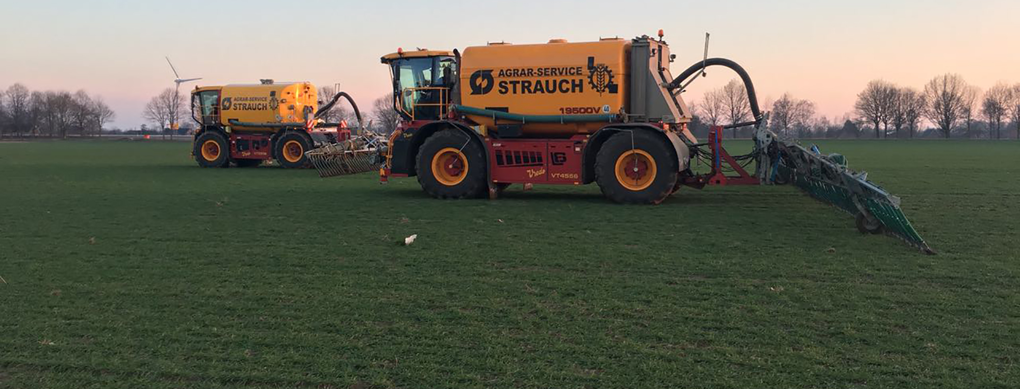 düngen vredo organisch